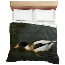 Duck In Water – Stock Image. Bedding 67410007