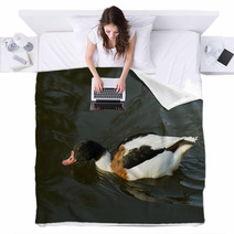 Duck In Water – Stock Image. Blankets 67410007