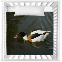 Duck In Water – Stock Image. Nursery Decor 67410007