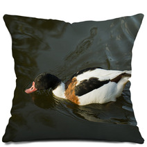 Duck In Water – Stock Image. Pillows 67410007