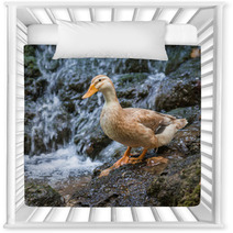 Duck Nursery Decor 100986116