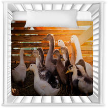 duck Nursery Decor 73744848