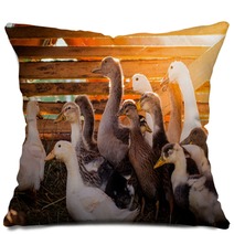 duck Pillows 73744848