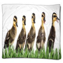 Ducklings Blankets 79961121