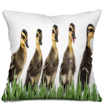 Ducklings Pillows 79961121