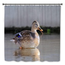 ducks in water Bath Decor 95021757