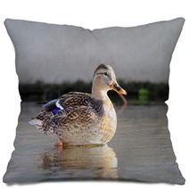 ducks in water Pillows 95021757
