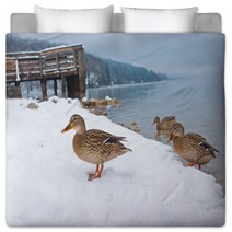 Ducks On The Snow Bedding 99661024