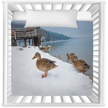 Ducks On The Snow Nursery Decor 99661024