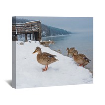 Ducks On The Snow Wall Art 99661024