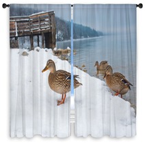 Ducks On The Snow Window Curtains 99661024