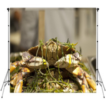 Dungeness Crab From Local Fisherman Market Backdrops 99913714