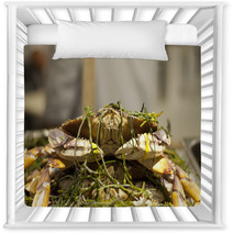 Dungeness Crab From Local Fisherman Market Nursery Decor 99913714