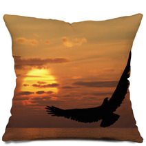 Eagle Above Ocean Pillows 22679521