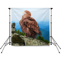 Eagle Against Wildness Background Backdrops 71575633