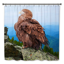 Eagle Against Wildness Background Bath Decor 71575633