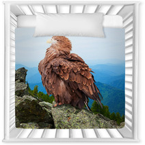 Eagle Against Wildness Background Nursery Decor 71575633