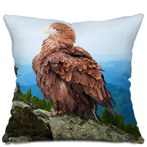 Eagle Against Wildness Background Pillows 71575633