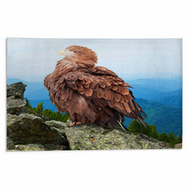 Eagle Against Wildness Background Rugs 71575633
