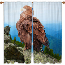 Eagle Against Wildness Background Window Curtains 71575633