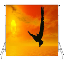 Eagle By Sunset - 3D Render Backdrops 50609549