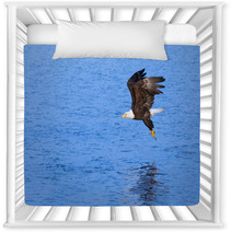 Eagle Grabbing A Fish From The Ocean, Alaska Nursery Decor 61954658