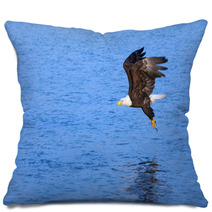 Eagle Grabbing A Fish From The Ocean, Alaska Pillows 61954658