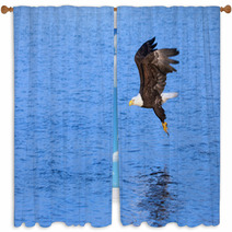 Eagle Grabbing A Fish From The Ocean, Alaska Window Curtains 61954658