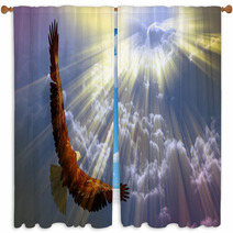 Eagle In Flight Above Tyhe Clouds Window Curtains 109973070