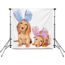Easter Bunny Puppies Backdrops 38881325