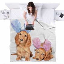 Easter Bunny Puppies Blankets 38881325