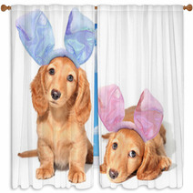 Easter Bunny Puppies Window Curtains 38881325