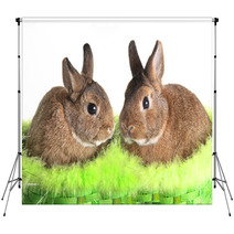 Easter Bunny Rabbit Backdrops 30994618