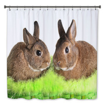 Easter Bunny Rabbit Bath Decor 30994618