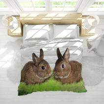 Easter Bunny Rabbit Bedding 30994618