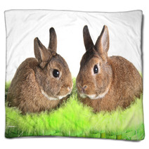 Easter Bunny Rabbit Blankets 30994618
