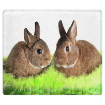 Easter Bunny Rabbit Rugs 30994618