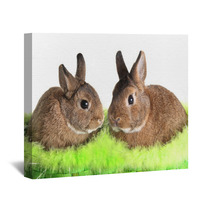 Easter Bunny Rabbit Wall Art 30994618