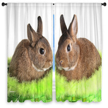 Easter Bunny Rabbit Window Curtains 30994618