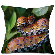 Eastern Corn Snake Pillows 22595224