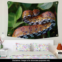 Eastern Corn Snake Wall Art 22595224