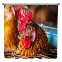 Eggs Chickens In The Local Farm Bath Decor 98577200