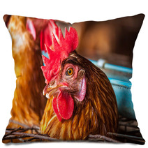 Eggs Chickens In The Local Farm Pillows 98577200
