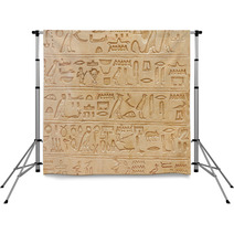 Egyptian Hieroglyphics Backdrops 56531614