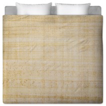 Egyptian Papyrus Paper Bedding 111681470