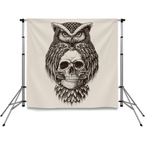Elaborate Drawing Of Owl Holding Skull Backdrops 141433028