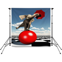 Elephant Balancing On Ball Backdrops 25310435