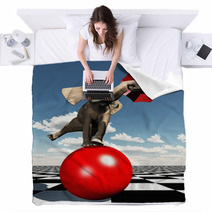 Elephant Balancing On Ball Blankets 25310435