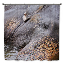 Elephant Bath Decor 55882868