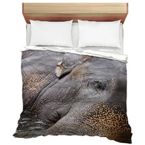 Elephant Bedding 55882868